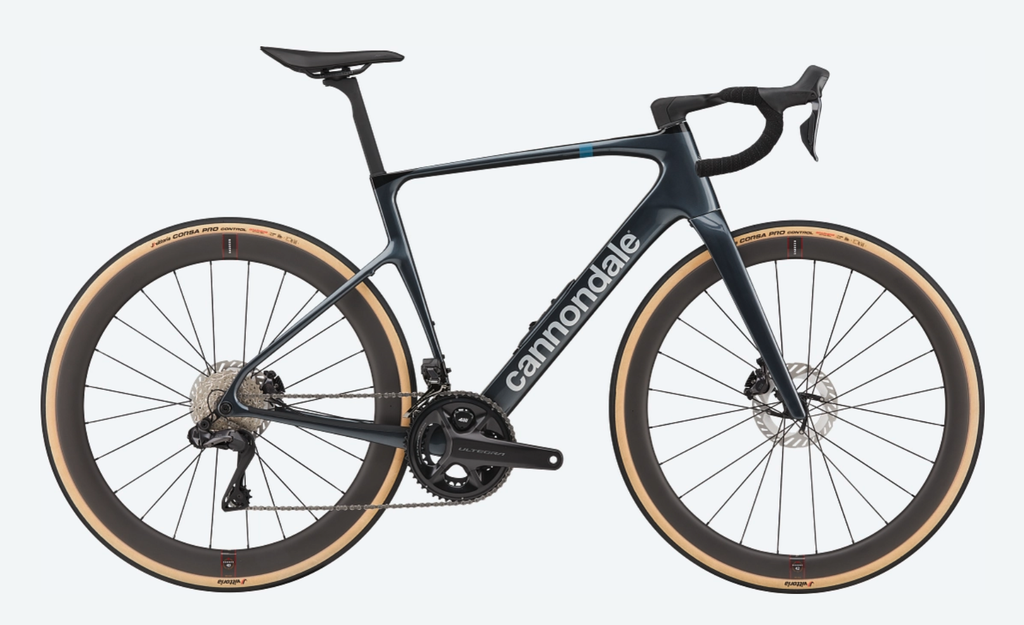 Synapse CRB 1 TUB 58